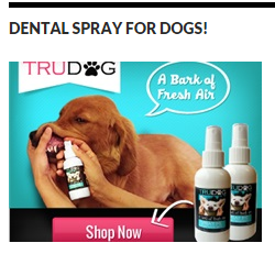 Dental Spray for Dogs at: www.freedogsupplies.com
